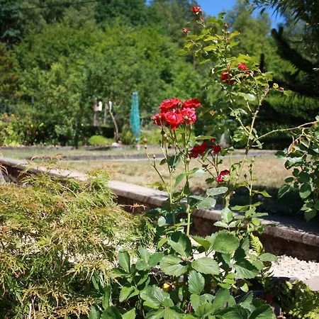 Ferienhaus Lesse Matinal *