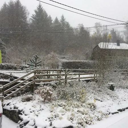 Lesse Matinal 雷杜