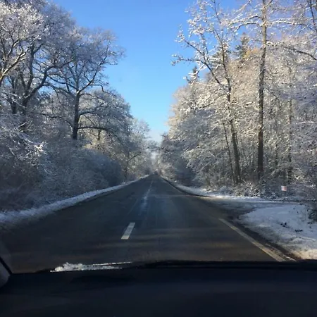 Lesse Matinal * Redu