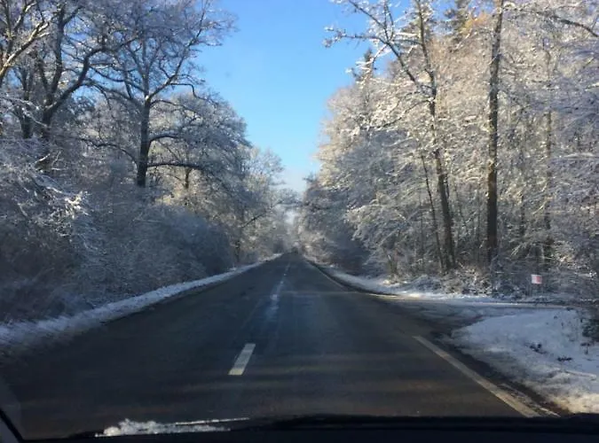 Lesse Matinal * Redu